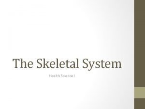 The Skeletal System Health Science I Bone Facts