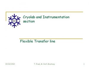 Cryolab and Instrumentation section Flexible Transfer line 10222021