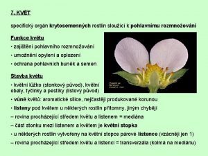 7 KVT specifick orgn krytosemennch rostlin slouc k