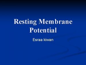 Resting Membrane Potential Esraa kiwan Membrane Potential n