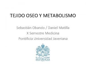 TEJIDO OSEO Y METABOLISMO Sebastin Obando Daniel Matilla