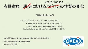 vector meson Philipp Gubler JAEA P Gubler and