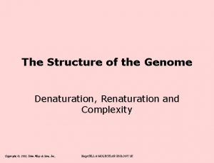 The Structure of the Genome Denaturation Renaturation and
