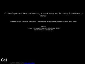 ContextDependent Sensory Processing across Primary and Secondary Somatosensory