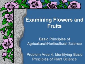 Examining Flowers and Fruits Basic Principles of AgriculturalHorticultural