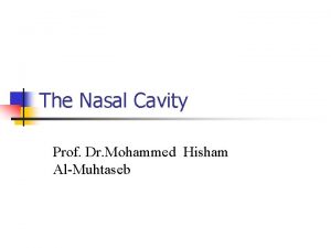 The Nasal Cavity Prof Dr Mohammed Hisham AlMuhtaseb