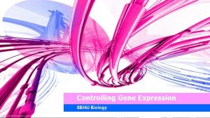 Controlling Gene Expression SBI 4 U Biology Gene