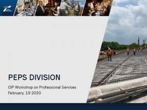 PEPS DIVISION CIP Workshop on Professional Services February