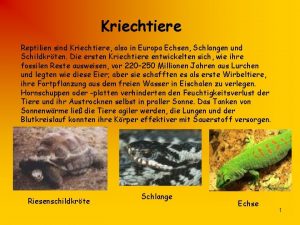 Kriechtiere Reptilien sind Kriechtiere also in Europa Echsen