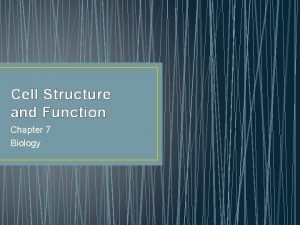 Cell Structure and Function Chapter 7 Biology Cell
