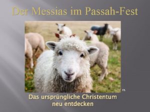Der Messias im PassahFest FB Das ursprngliche Christentum