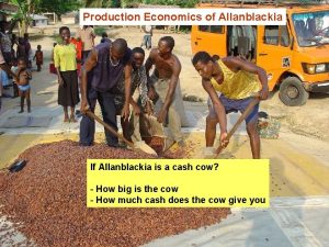 Production Economics of Allanblackia If Allanblackia is a