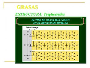 GRASAS ESTRUCTURA Triglicridos EL TIPO DE GRASA MS