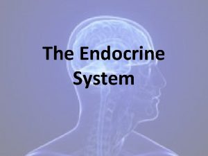 The Endocrine System functions Controls body functions and