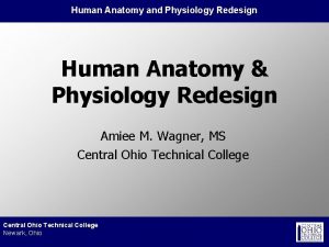 Human Anatomy and Physiology Redesign Human Anatomy Physiology