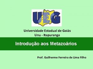 Universidade Estadual de Gois Unu Itapuranga Introduo aos