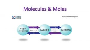 Molecules Moles Representative Particles The form in which