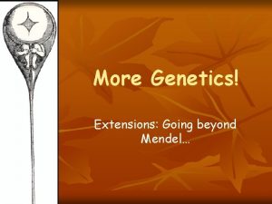 More Genetics Extensions Going beyond Mendel XLinked Alleles