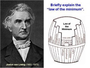 Briefly explain the law of the minimum Law