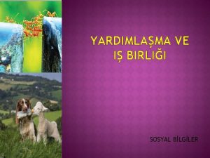 YARDIMLAMA VE I BIRLII SOSYAL BLGLER YARDIMLAMA VE