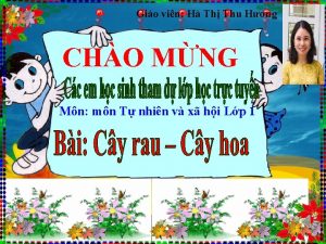Gio vin H Th Thu Hng CHO MNG