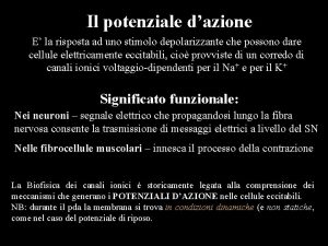 Il potenziale dazione E la risposta ad uno