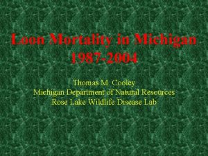 Loon Mortality in Michigan 1987 2004 Thomas M