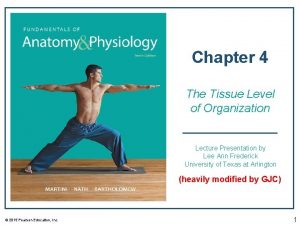 Chapter 4 The Tissue Level of Organization Lecture