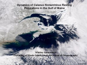 Dynamics of Calanus finmarchicus Resting Populations in the