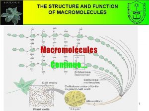 THE STRUCTURE AND FUNCTION OF MACROMOLECULES Macromolecules Continuo