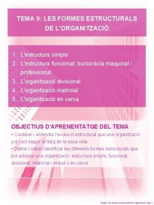 TEMA 9 LES FORMES ESTRUCTURALS DE LORGANITZACI 1