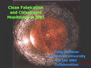 Clean Fabrication and Cleanliness Monitoring in SNO Doug