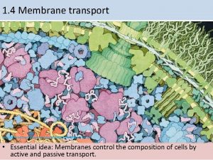 1 4 Membrane transport http onlinelibrary wiley comdoi10