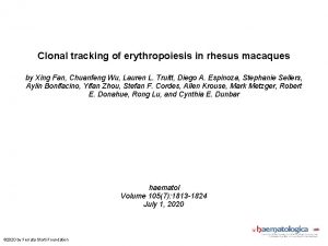 Clonal tracking of erythropoiesis in rhesus macaques by