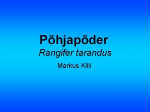 Phjapder Rangifer tarandus Markus Kiili Vlimus Talvekarvastik on