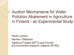 Auction Mechanisms for Water Pollution Abatement in Agriculture