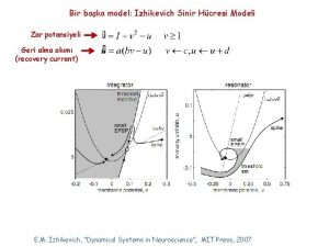 Bir baka model Izhikevich Sinir Hcresi Modeli Zar