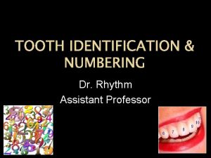 TOOTH IDENTIFICATION NUMBERING Dr Rhythm Assistant Professor The