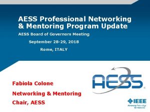 AESS Professional Networking Mentoring Program Update AESS Board