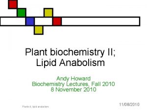 Plant biochemistry II Lipid Anabolism Andy Howard Biochemistry