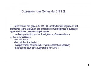 Expression des Gnes du CMH II Lexpression des