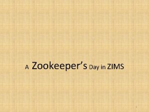 A Zookeepers Day in ZIMS 1 ZIMS Updates