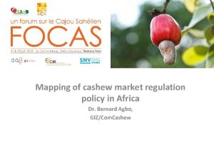 Mapping of cashew market regulation policy in Africa