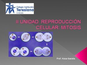 II UNIDAD REPRODUCCIN CELULAR MITOSIS Prof Aissa Ibaceta