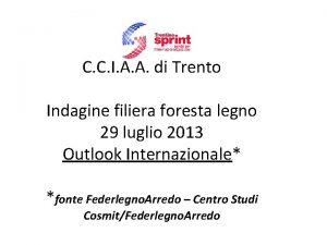 C C I A A di Trento Indagine