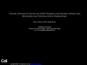 Chloride Channels of Glycine and GABA Receptors with