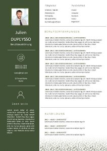 Julien DUPEYSSO Berufsbezeichnung Fhigkeiten Persnlichkeit Windows Mac OS