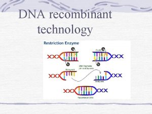 DNA recombinant technology Definition of recombinant DNA technology
