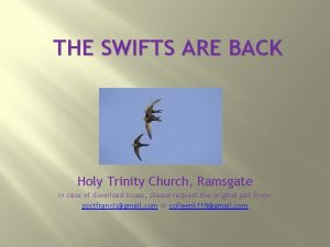 THE SWIFTS ARE BACK Holy Trinity Church Ramsgate