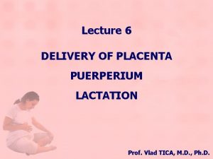 Lecture 6 DELIVERY OF PLACENTA PUERPERIUM LACTATION Prof